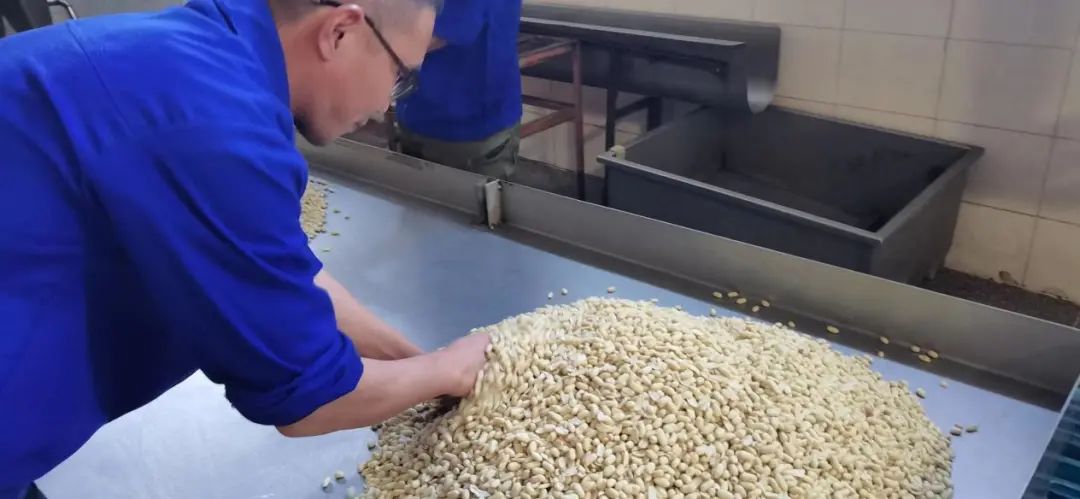 1655959778759526.jpg 7.jpg