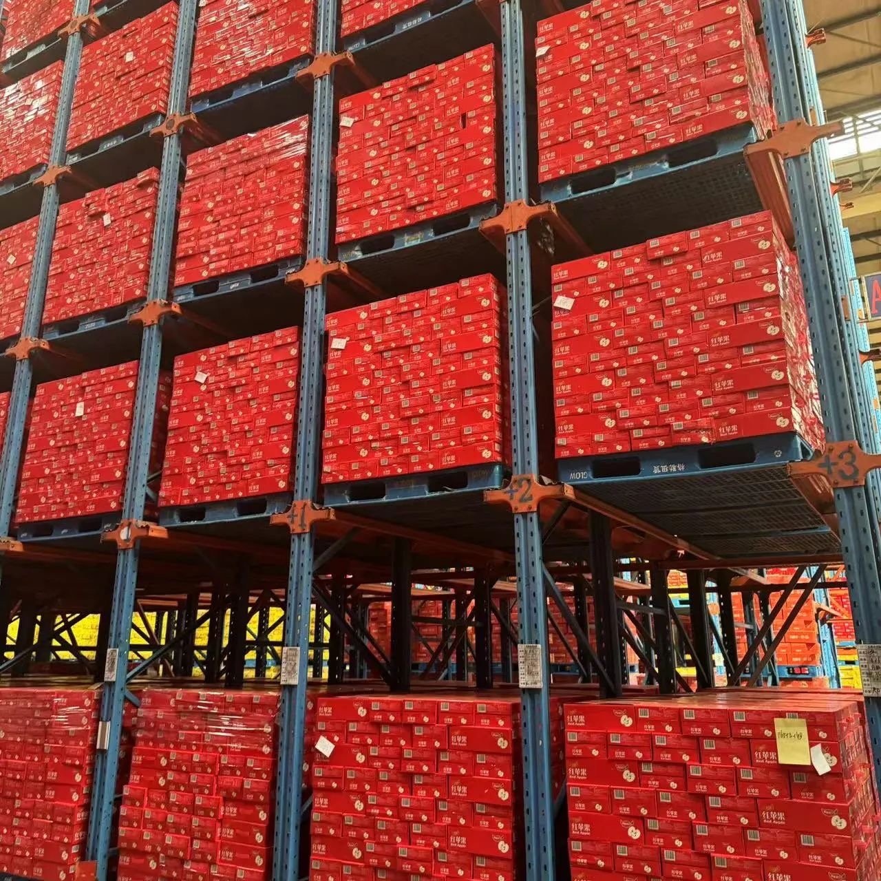 1719804871907540.jpg 微信圖片_20240701113107.jpg